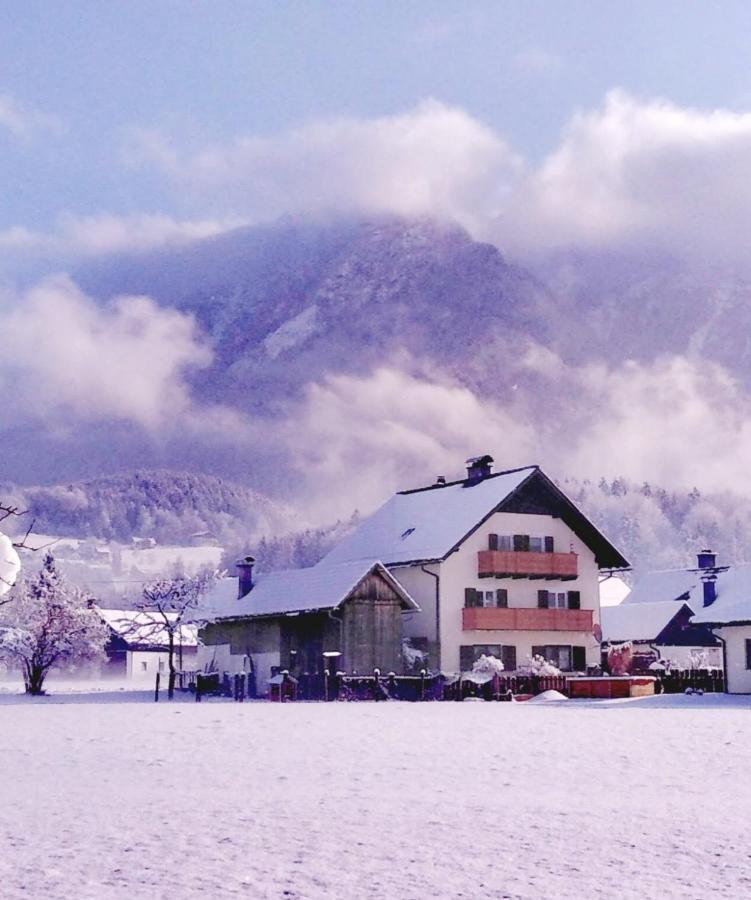 Haus Moni Appartement Bad Goisern Buitenkant foto