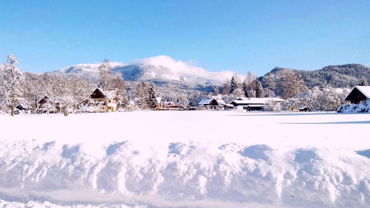 Haus Moni Appartement Bad Goisern Buitenkant foto